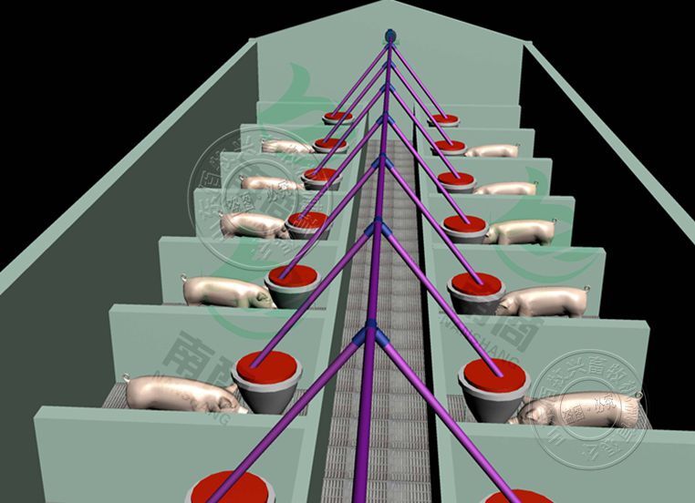 豬場(chǎng)自動(dòng)喂料系統(tǒng)