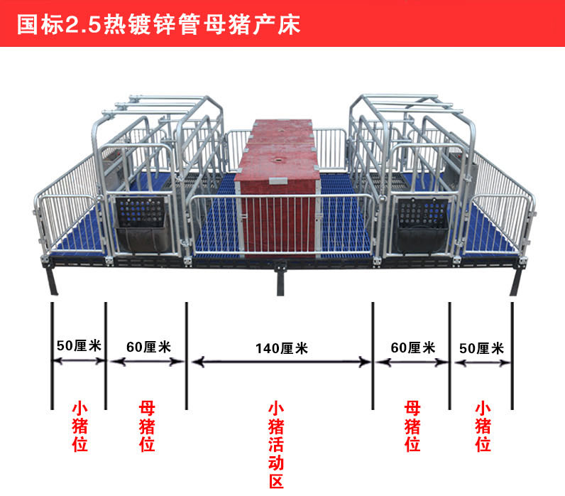 山東佰牧興國標(biāo)2.5母豬產(chǎn)床