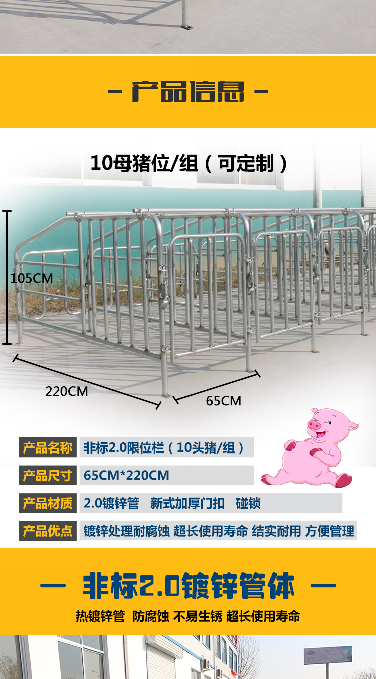 佰牧興非標(biāo)2.0母豬限位欄