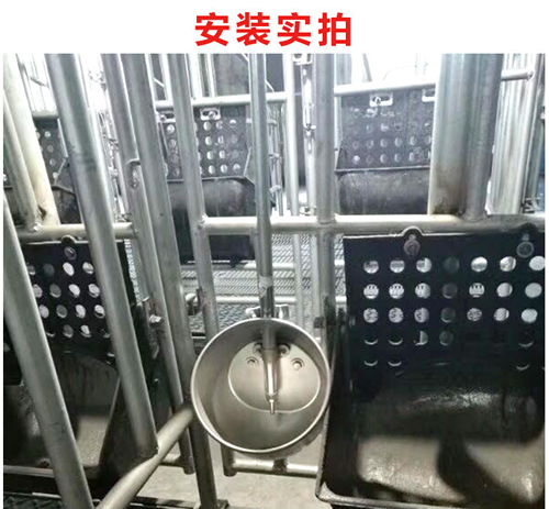 豬用自動(dòng)飲水器