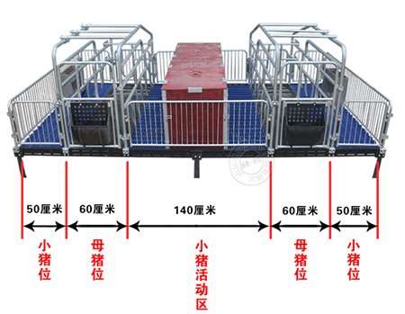 母豬產(chǎn)床