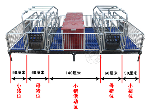 母豬產(chǎn)床