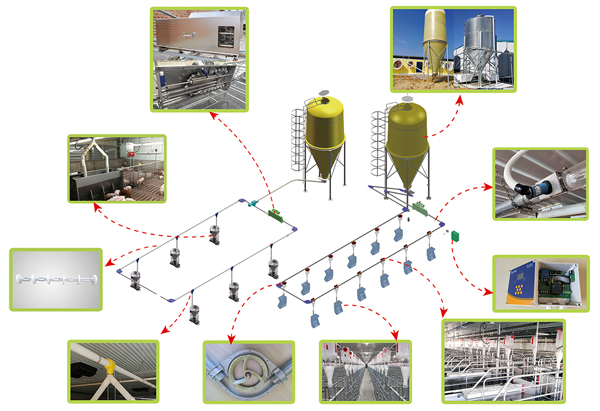豬場(chǎng)自動(dòng)化料線