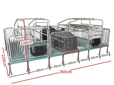 產(chǎn)保兩用母豬產(chǎn)床實(shí)拍圖